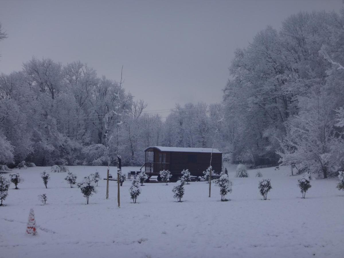 Вилла L'Oasis Des Pyrenees Campuzan Экстерьер фото
